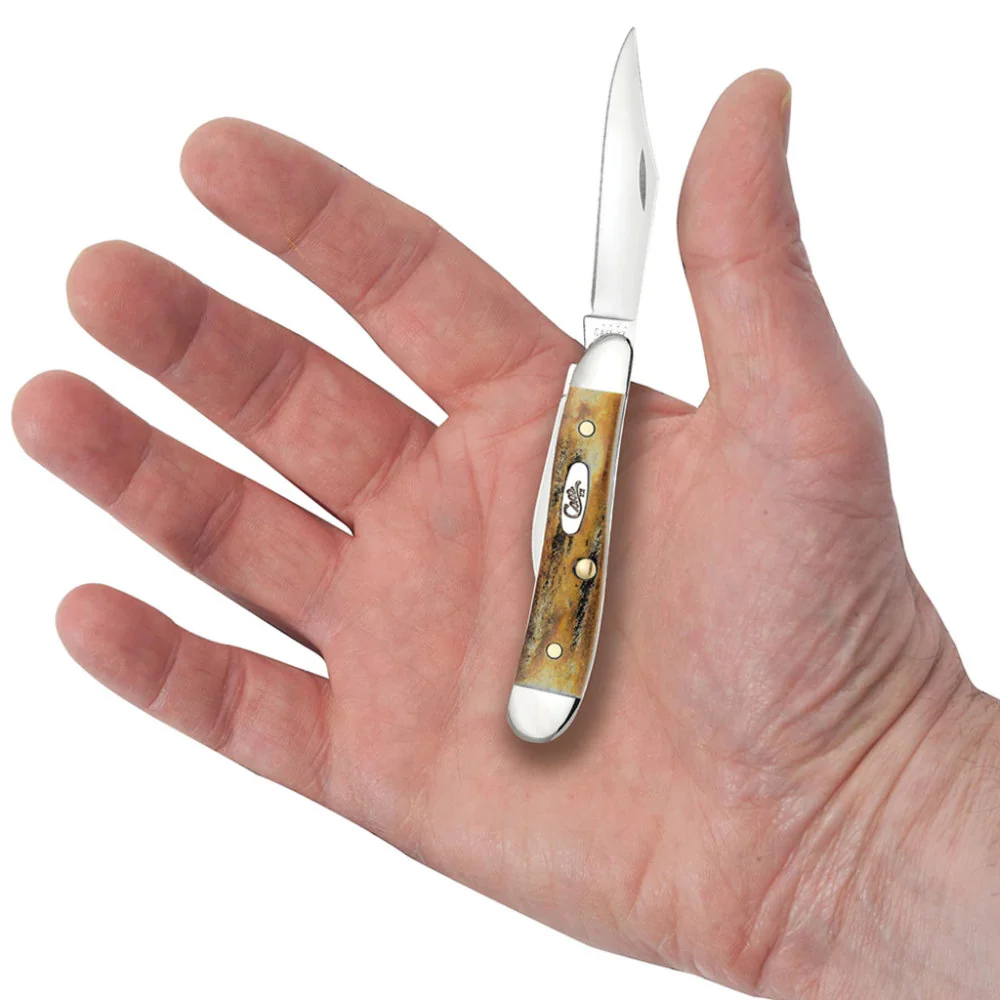 Case Peanut Genuine Stag Pocket Knife - Image 5