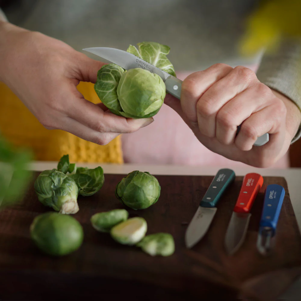 Opinel Essential Small Kitchen Knife 4-Piece Set - Image 5