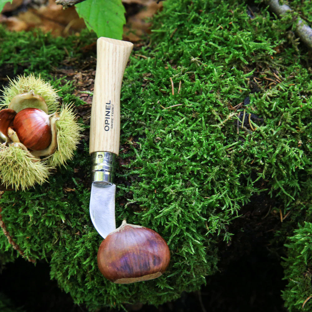 Opinel No.07 Garlic and Chestnut Stainless Steel Folding Knife - Image 8