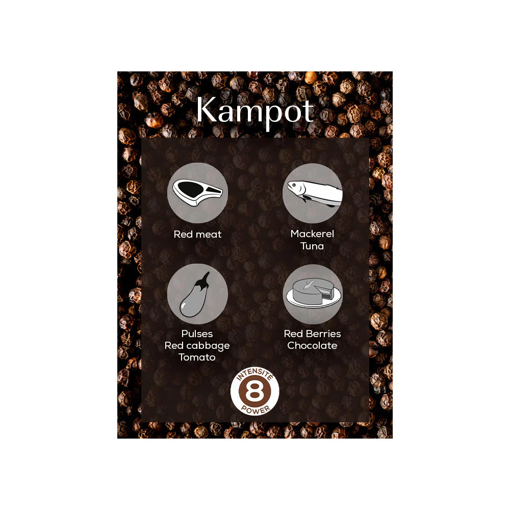 Peugeot Kampot Cambodian Black Pepper, 3 x 20g Sachets - Image 2