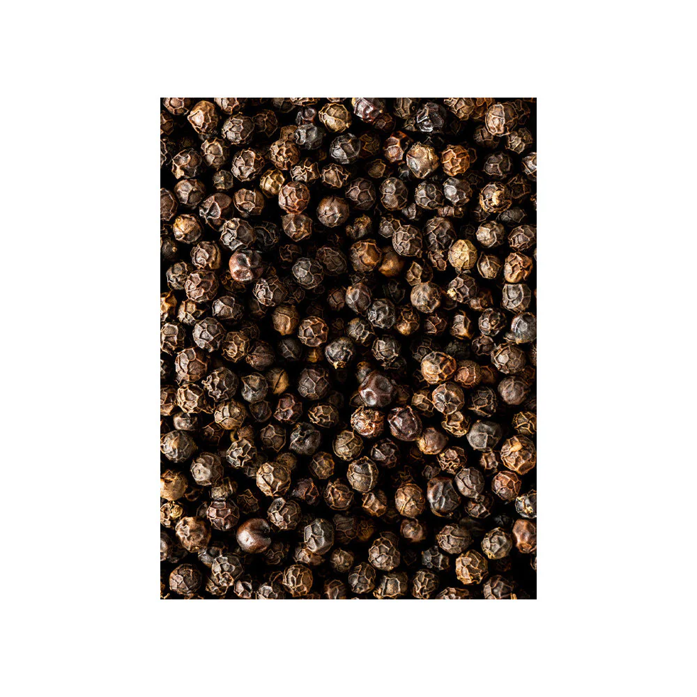 Peugeot Kampot Cambodian Black Pepper, 3 x 20g Sachets - Image 3