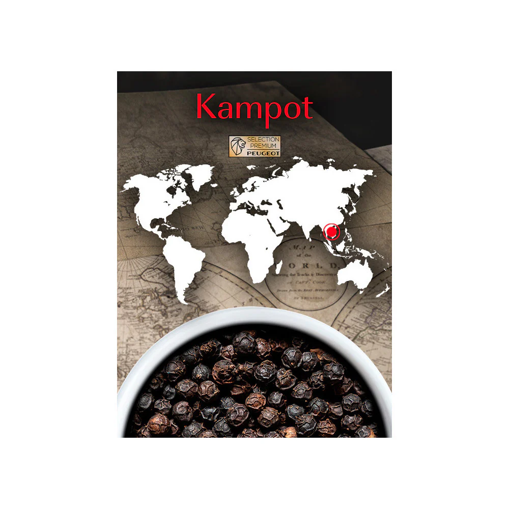 Peugeot Kampot Cambodian Black Pepper, 3 x 20g Sachets - Image 4